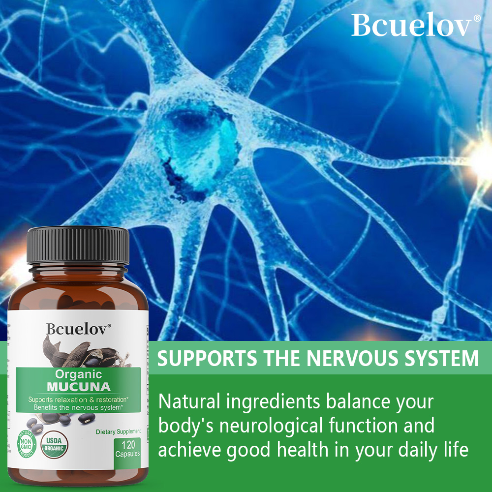 Bio-Mucuna-Kapseln – unterstüt – Tulsi Holy Basil Bewertung und Preis