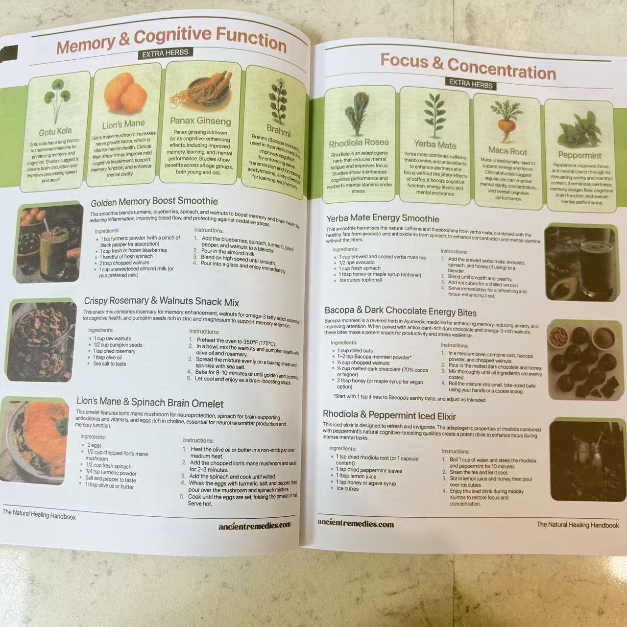 Das Handbuch zur natürlichen H – Herbal Holistic Wellness Bewertung und Preis