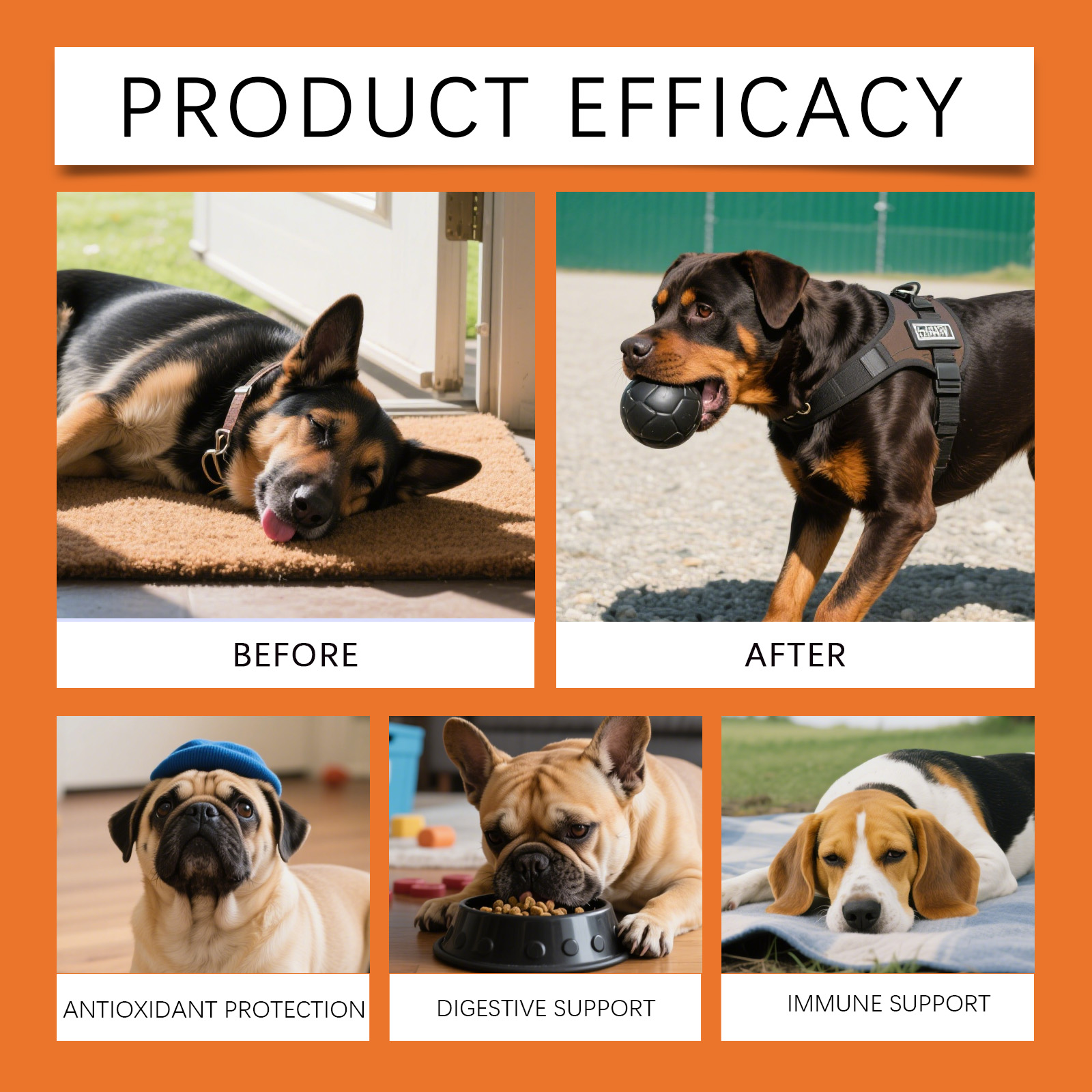 Kräutertropfen für Hunde - Unw – Herbal Holistic Wellness Bewertung und Preis