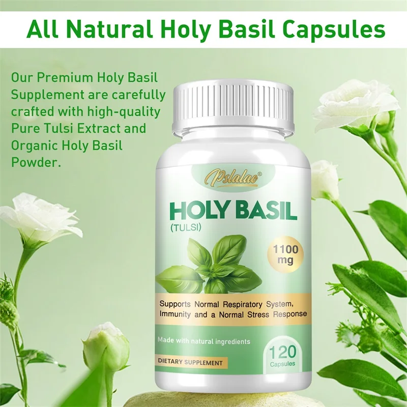 Heilige Basilikum-Kapseln – Ve – Tulsi Holy Basil Bewertung und Preis