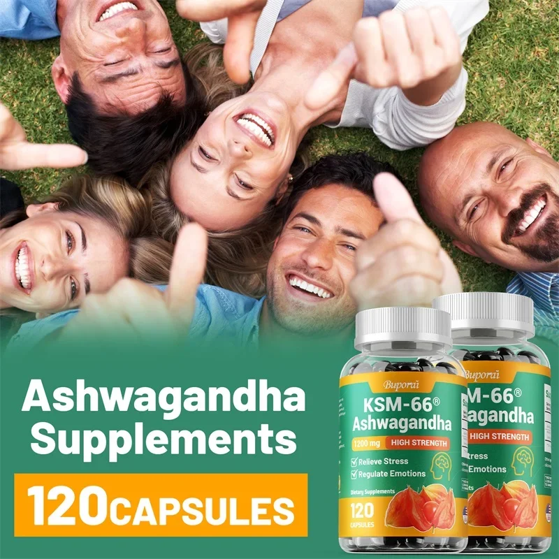 KSM-66 Ashwagandha-Extrakte-Ka – Tulsi Holy Basil Bewertung und Preis