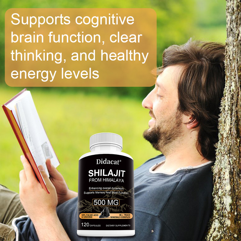 Himalaya-Shilajit & Ginseng Ka – Herbal Wellness Formula Bewertung und Preis
