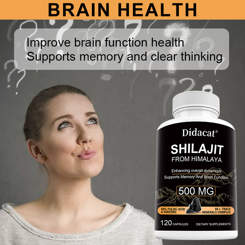 Himalaya-Shilajit & Ginseng Ka – Herbal Wellness Formula Bewertung und Preis