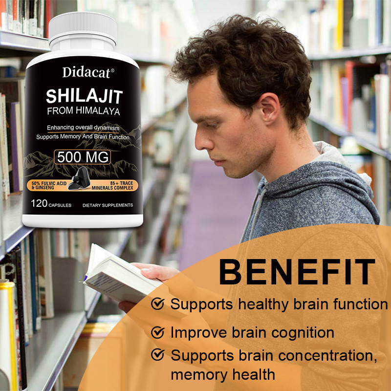 Himalaya-Shilajit & Ginseng Ka – Herbal Wellness Formula Bewertung und Preis