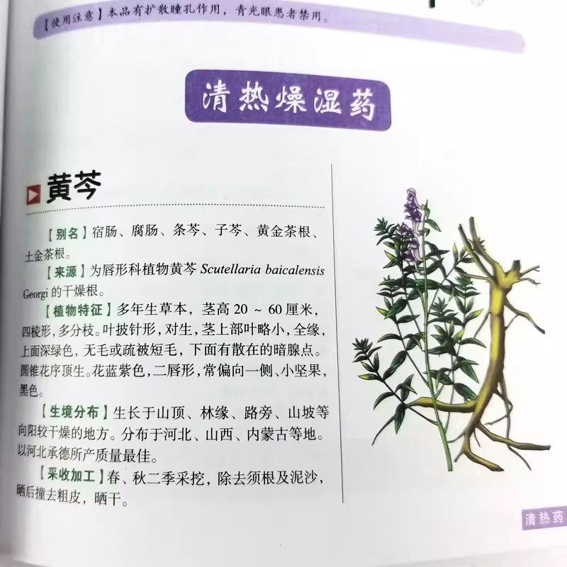 Das alte Herbarium: Ein ganzhe – Herbal Holistic Wellness Bewertung und Preis